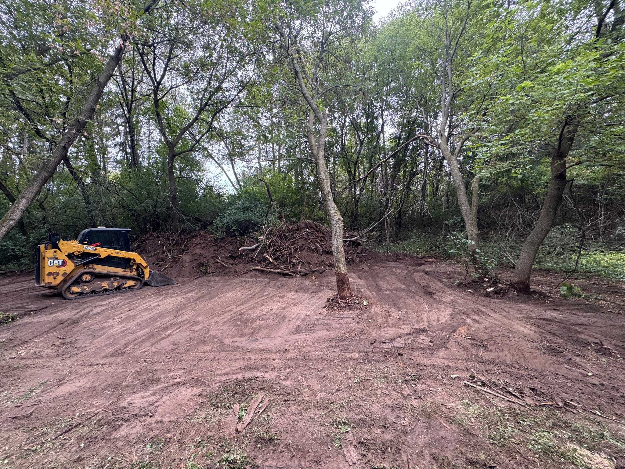 Tracked loader beside exposed dirt and cleared ground on a wooded property.
